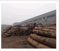 供应2012年【木材批发价格-木材销售】无锡富万建材 宜兴木材_食品、饮料